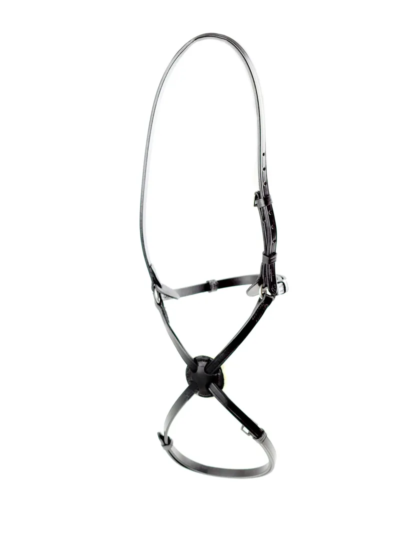 Dever Ascot High Ring Grackle Noseband Black
